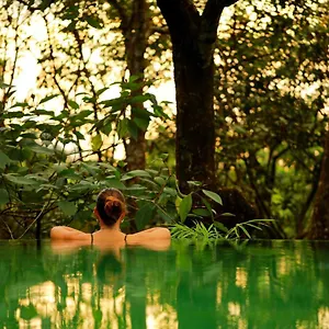 Resort Wayanad Wild - A Cgh Earth Experience, Vythiri